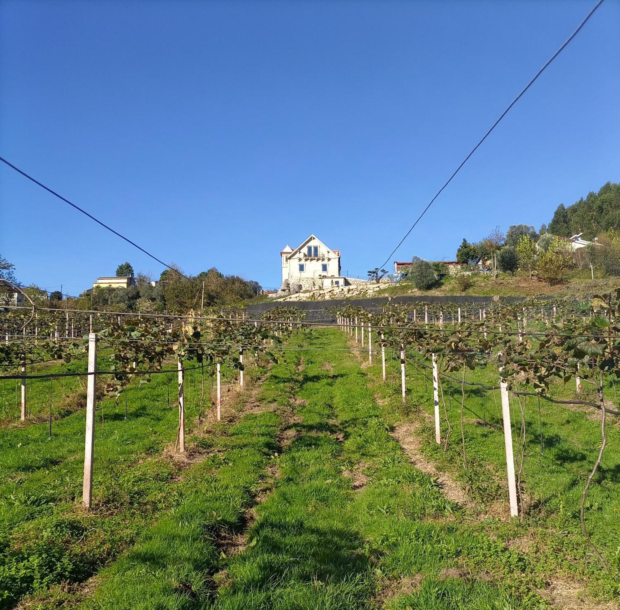 Quinta Do Bairro Villa วีเอย์รา ดู มีโญ ภายนอก รูปภาพ