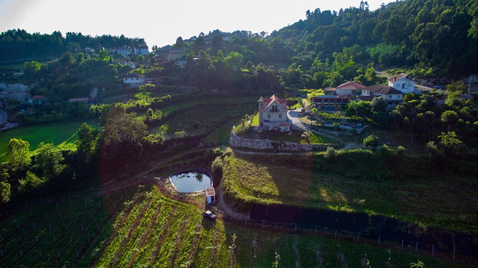 Quinta Do Bairro Villa วีเอย์รา ดู มีโญ ภายนอก รูปภาพ