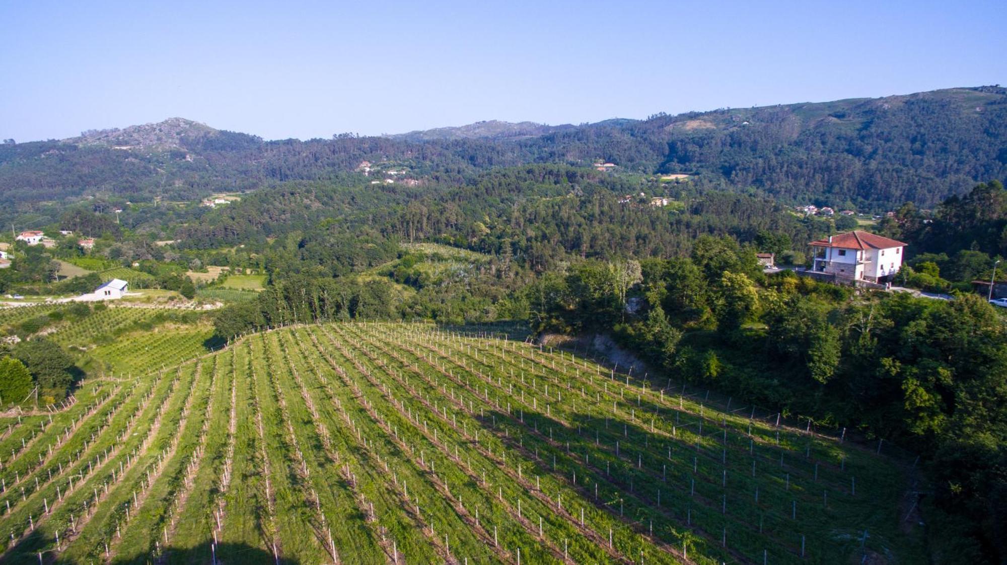 Quinta Do Bairro Villa วีเอย์รา ดู มีโญ ภายนอก รูปภาพ