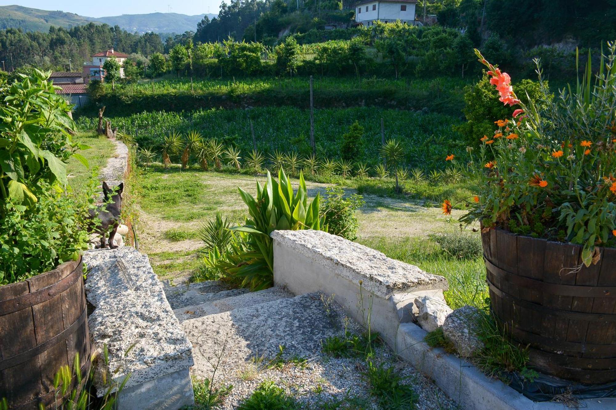Quinta Do Bairro Villa วีเอย์รา ดู มีโญ ภายนอก รูปภาพ
